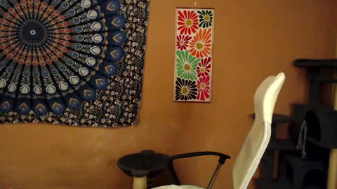 Snapshot of intimatetales chatting on January 2025 08:10:02 PM Africa online show from January 2025 08:10:02 PM