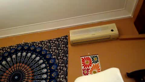 Snapshot of intimatetales chatting on February 2025 06:04:02 PM Africa online show from February 2025 06:04:02 PM