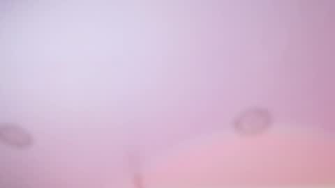 Iirs online show from February 2026 03:02:02 AM