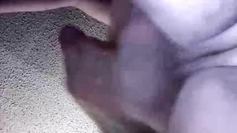 McDick online show from March 2026 05:41:02 AM