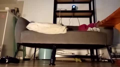 iron_cock40 online show from April 2026 10:01:01 PM