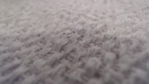 Snapshot of ironman383838 chatting on October 2025 09:59:02 PM ironman383838 online show from October 2025 09:59:02 PM