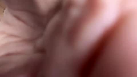 Snapshot of isabrown10 chatting on October 2025 04:42:01 AM isabrown10 online show from October 2025 04:42:01 AM