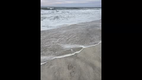 Jim online show from March 2025 06:19:01 PM