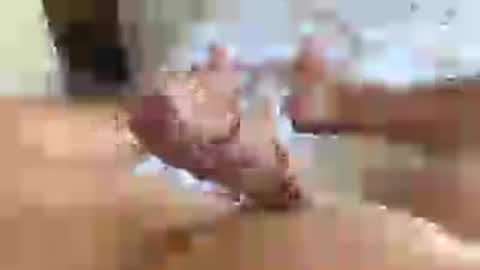 Snapshot of italianxsalami chatting on July 2026 03:07:02 PM italianxsalami online show from July 2026 03:07:02 PM