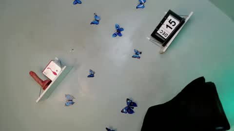 Bella online show from December 2025 05:34:01 AM