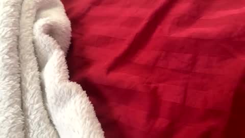 Snapshot of itsjayyourbae chatting on November 2025 02:05:01 PM itsjayyourbae online show from November 2025 02:05:01 PM