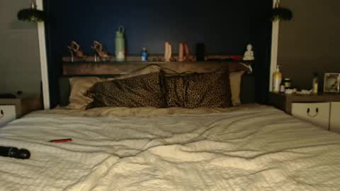 Snapshot of ivydreams chatting on December 2024 03:27:02 AM Ivy Dreams online show from December 2024 03:27:02 AM