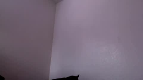 Snapshot of j0nnyk1ng chatting on February 2025 06:27:02 PM Mugen online show from February 2025 06:27:02 PM