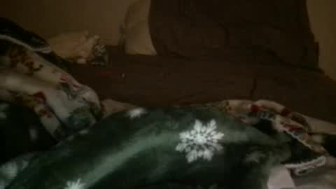 j_reyes24 online show from January 2025 06:45:02 PM