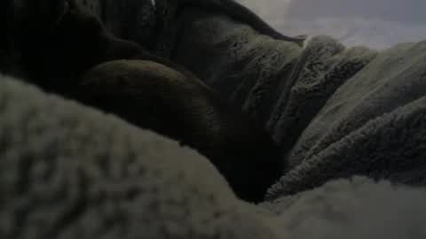 Snapshot of jackad44 chatting on October 2025 06:32:02 PM jackad44 online show from October 2025 06:32:02 PM