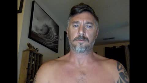 Snapshot of jackhammerhead chatting on December 2024 02:04:01 PM jackhammerhead online show from December 2024 02:04:01 PM