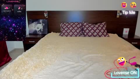 sallyevans online show from January 2025 01:11:01 PM