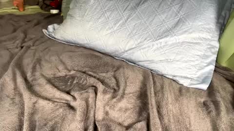 jacksbunnys online show from January 2025 11:10:01 AM