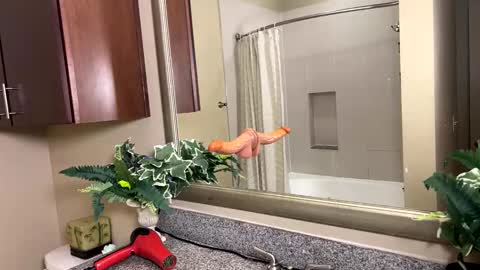 Jack Xavier  Missy online show from February 2026 03:45:02 AM