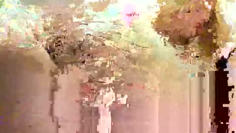 Snapshot of jadedmoshier chatting on November 2025 09:01:01 AM jadedmoshier online show from November 2025 09:01:01 AM