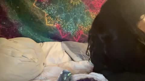 Jadexbabe online show from January 2025 11:54:02 AM