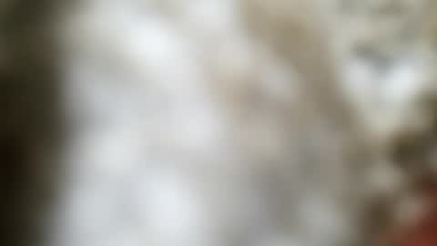 Snapshot of jaimescook chatting on June 2026 12:03:02 AM james online show from June 2026 12:03:02 AM
