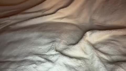 jamesdean0101 online show from January 2026 10:47:02 PM