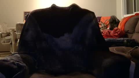 Snapshot of jameswolf777 chatting on November 2025 08:48:02 AM jameswolf777 online show from November 2025 08:48:02 AM