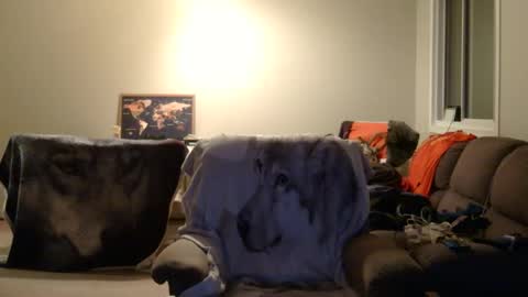 jameswolf777 online show from December 2025 06:54:02 AM