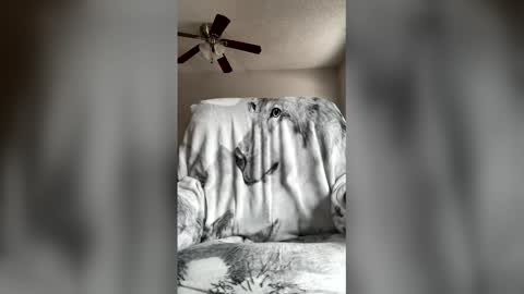 Snapshot of jameswolf777 chatting on April 2026 07:03:02 PM jameswolf777 online show from April 2026 07:03:02 PM