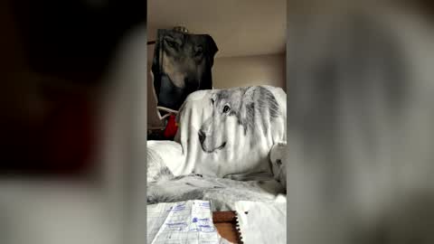 jameswolf777 online show from May 2026 02:25:01 PM