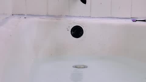 Bootyshows online show from March 2026 09:17:01 PM