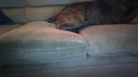 janks1963 online show from September 2025 04:47:01 AM