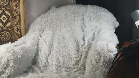 Snapshot of jaredhighborne chatting on January 2026 05:05:02 PM K online show from January 2026 05:05:02 PM