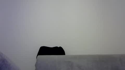 jaspal55 online show from November 2025 02:04:01 PM