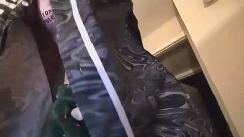 jasper1thewhor3 online show from October 2025 05:04:02 AM