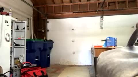 Snapshot of jawssharkparty chatting on September 2025 07:36:01 PM Jaws online show from September 2025 07:36:01 PM