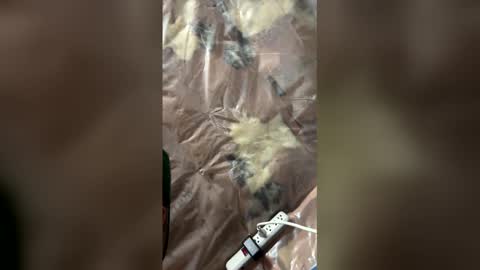 jaxsona online show from April 2026 08:18:02 AM