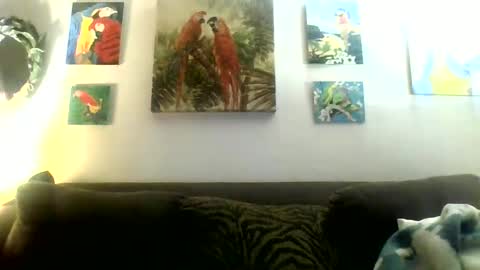 jay-jay1475 online show from January 2025 10:48:01 PM