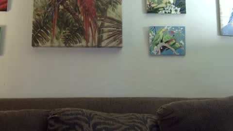 jay-jay1475 online show from January 2025 09:25:02 PM