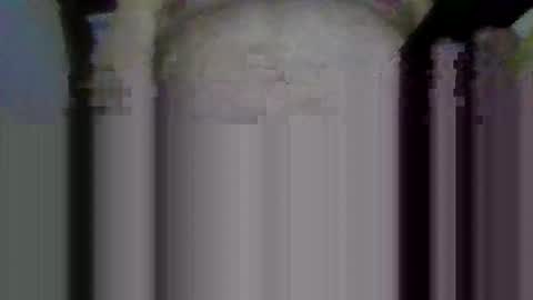 jb78510170 online show from March 2026 04:27:02 AM