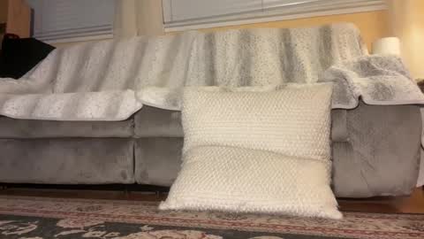 JB online show from October 2025 05:13:01 AM