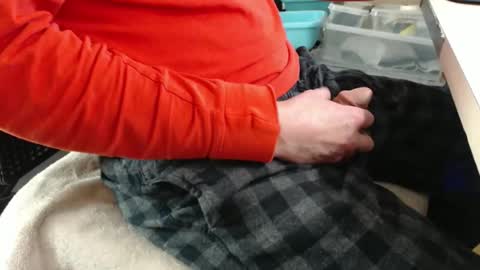 Snapshot of jc200000 chatting on December 2025 09:54:01 PM jc200000 online show from December 2025 09:54:01 PM