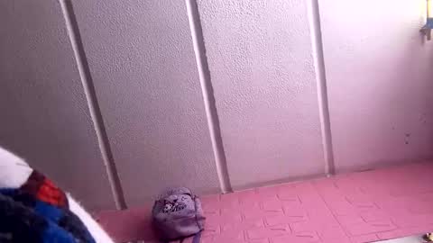 jdsj1a873165 online show from March 2026 03:04:01 PM