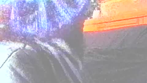 jedishy925585 online show from June 2026 09:46:02 AM