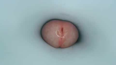 jeffrodgerschaturbat online show from January 2025 12:50:02 PM