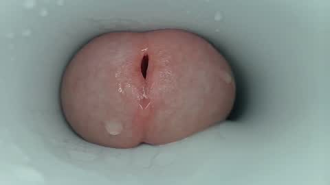 jeffrodgerschaturbat online show from October 2025 11:18:02 AM