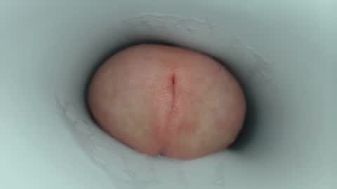 jeffrodgerschaturbat online show from May 2026 04:03:01 PM