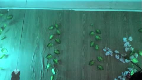 Jenelotizz online show from September 2025 06:24:01 PM