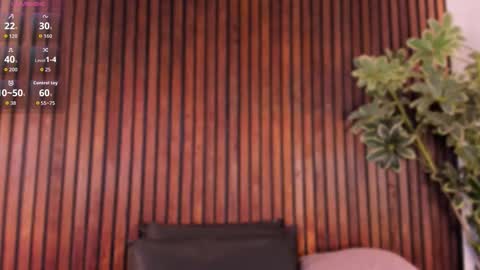     online show from November 2025 01:32:01 PM