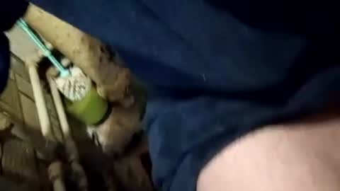 Join me online show from February 2025 01:33:02 PM