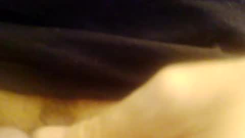 Snapshot of jepn1112 chatting on December 2024 09:05:02 PM JoeEBear online show from December 2024 09:05:02 PM