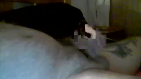 jerkmate6666 online show from January 2025 10:14:02 AM