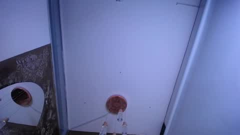 Snapshot of jesse_capelli chatting on January 2025 11:27:01 PM online show from January 2025 11:27:01 PM